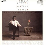 James Newton - The African Flower