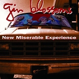 Gin Blossoms, The - New Miserable Experience