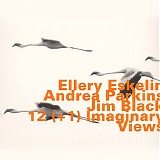 Ellery Eskelin with Andrea Parkins & Jim Black - 12 (+1) Imaginary Views