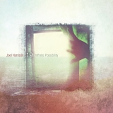 Joel Harrison 19 - Infinite Possibility