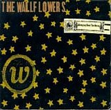 The Wallflowers - Bringing Down the Horse