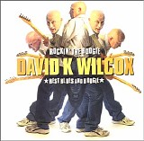 David Wilcox - Rockin' The Boogie