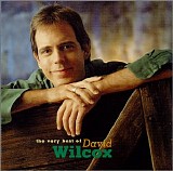 David Wilcox - The Best of David Wilcox