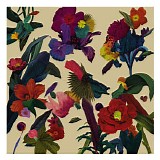 Washed Out - Paracosm (Japan Release)