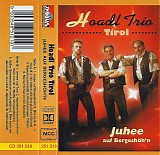 Hoadl Trio Tirol - Juhee Auf BergeshÃ¶h'n