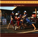 Johnny ''Guitar'' Watson - What the Hell Is This?