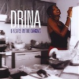 Drina - 8 Years in the Making