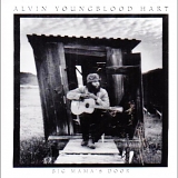 Alvin Youngblood Hart - Big Mama's Door