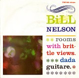 Bill Nelson - Rooms With Brittle Views