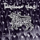 Muslimgauze - Tandoor Dog
