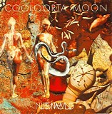 Nurse With Wound - Cooloorta Moon / A Piece Of The Sky Is Missing