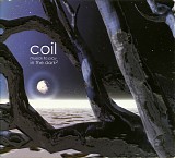 Coil - Musick To Play In The DarkÂ²
