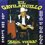 El Gavilancillo - Saul Viera