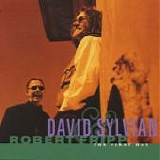 Robert FRIPP & David SYLVIAN - 1993: The First Day