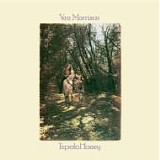 Van MORRISON - 1971: Tupelo Honey