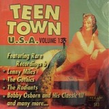 Various artists - Teen Town USA: Volume 13