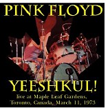 Pink Floyd - Maple Leaf Gardens in Toronto