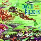 David Kilgour - Frozen Orange