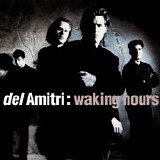Del Amitri - Waking Hours