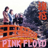 Pink Floyd - Natural Dark In Osaka 1972