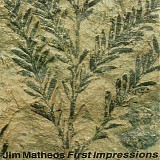 Jim Matheos - First Impressions