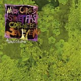 Animal Collective - Water Curses