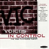 Various artists - Voices in Control - the R&b Flavours Album