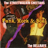 The Streetwalkin Cheetahs & The BellRays - Punk, Rock & Soul