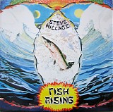 Steve Hillage - Fish Rising