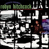 Robyn Hitchcock - Storefront Hitchcock - Music From The Jonathan Demme Picture