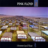 Pink Floyd - Momentary Lapse Of Reason, A