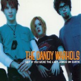 Dandy Warhols, The - Not If You Were The Last Junkie On Earth (CD Single)