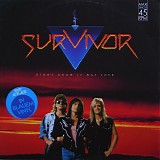 Survivor - Didn't Know It Was Love