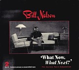 Bill Nelson - What Now, What Next?