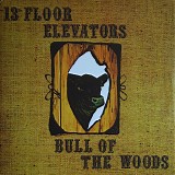 The 13th Floor Elevators - Bull Of The Woods
