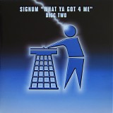 Signum - What Ya Got 4 Me Disc Two