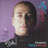 Ahmadreza - Flying In The Cage