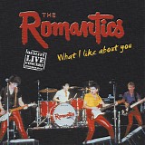 The Romantics - What I Like About You (Live)