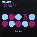Signum - What Ya Got 4 Me? (Remixes Disc Two)