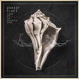Robert Plant - Lullaby And ...The Ceaseless Roar