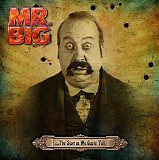 Mr. Big - ...the Stories We Could Tell