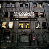 Mesh - Perfect Solution, A