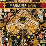 Big Head Todd & the Monsters - Black Beehive