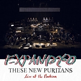 These New Puritans - Expanded