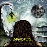 Beardfish - +4626-Comfortzone (Limited Edition)
