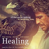 David Hirschfelder - Healing