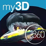 Richard Vreeland - 360Â° Sharks