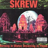 Skrew - Burning In Water, Drowning In Flame