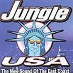 Various artists - Jungle USA - The New Sound Of The East Coast