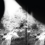 Godspeed You! Black Emperor - Asunder, Sweet And Other Distress'